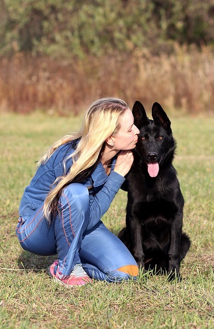 Do German shepherds make good family dogs?