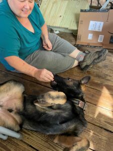 disciplining a German Shepherd puppy